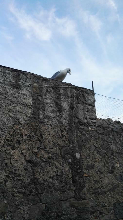 Il Nido Dei Gabbiani Villa Porto Venere Ngoại thất bức ảnh